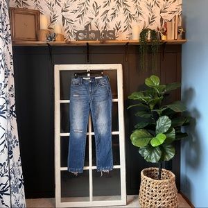 Anthropologie Pilcro and the letterpress slim boyfriend jeans size 26